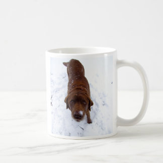 Caneca De Café É aquele chocolate quente?