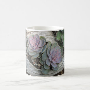 Caneca De Café Echeveria Succulent Mug