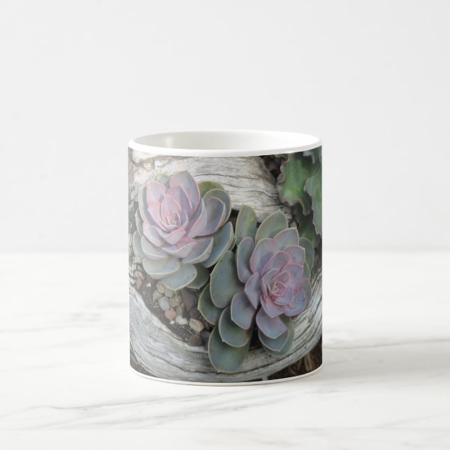 Caneca De Café Echeveria Succulent Mug (Centro)