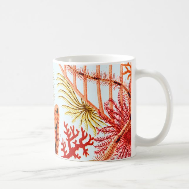Caneca De Café Echinodermos de Recife da Barreira do excelente |  (Direita)