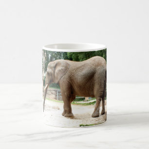 Caneca De Café Elefante africano