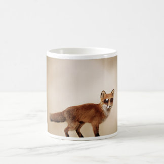 Caneca De Café Elevação e brilho