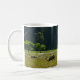 Caneca De Café Elk Meadow no Parque Nacional Redwood