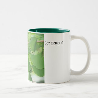 Caneca De Café Em Dois Tons 100_0337, obtido a memória?