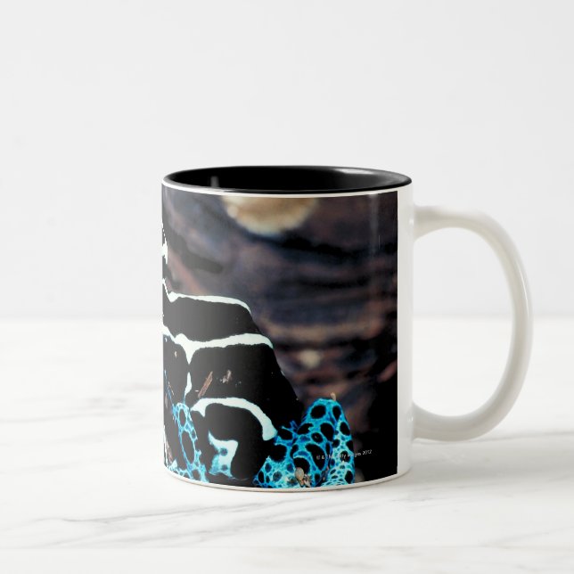 CANECA DE CAFÉ EM DOIS TONS 23898179 (Direita)