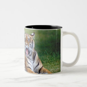 CANECA DE CAFÉ EM DOIS TONS 23899167
