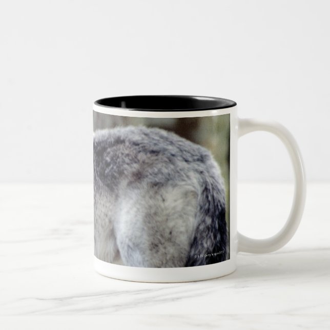 CANECA DE CAFÉ EM DOIS TONS 24114488 (Direita)