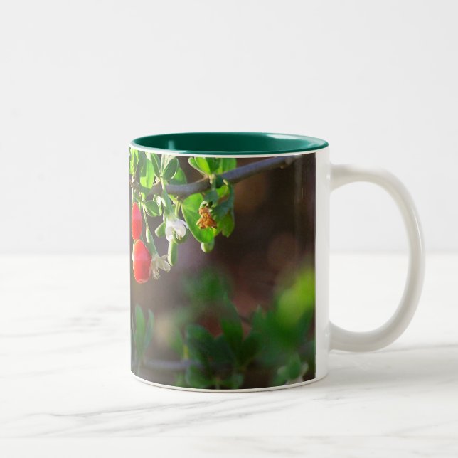 CANECA DE CAFÉ EM DOIS TONS 2BERRIES (Direita)