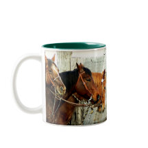 3 cabeças de cavalo