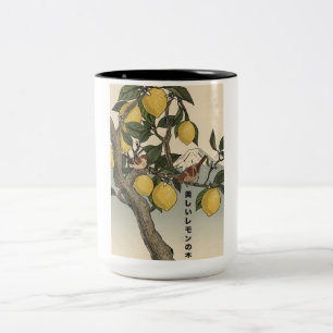 Caneca De Café Em Dois Tons A Bela Figueira de Limão