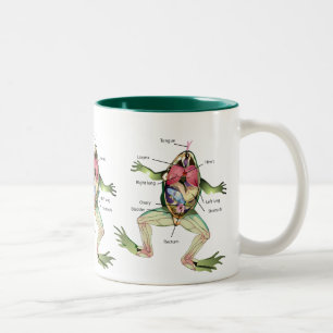 Caneca De Café Em Dois Tons A ilustração da anatomia do sapo