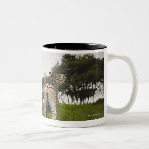 Caneca De Café Em Dois Tons A parte traseira de três zebras, África do Sul