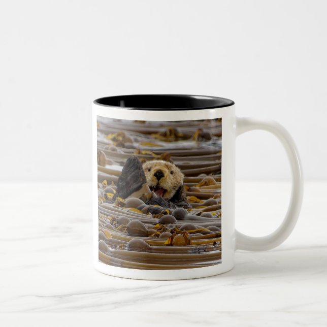 Caneca De Café Em Dois Tons A Pequena Lontra Marítima (Direita)