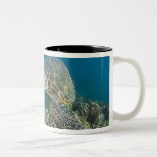 Caneca De Café Em Dois Tons A Tartaruga Marinha Verde, (Chelonia mydas), é a 2