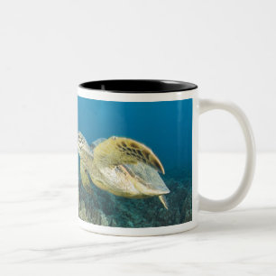 Caneca De Café Em Dois Tons A Tartaruga Marinha Verde, (Chelonia mydas), é a 3