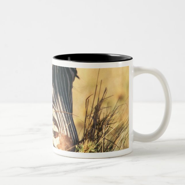 Caneca De Café Em Dois Tons A zebra 2 de Burchell (Direita)