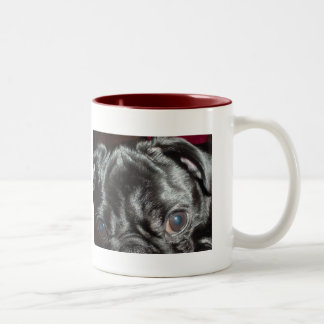 Caneca De Café Em Dois Tons Acima-Fim do Pug - "aqui está olhando-o "