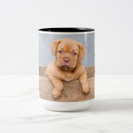 Caneca De Café Em Dois Tons Adorável Dogue de Bordeaux