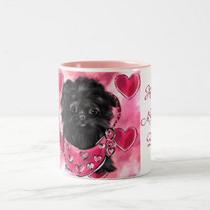Caneca De Café Em Dois Tons Affenpinscher  
