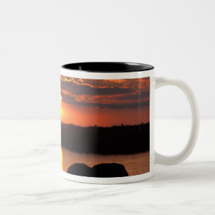 Caneca De Café Em Dois Tons África, Botsuana, Parque Nacional Chobe, Manada