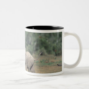 Caneca De Café Em Dois Tons África do Sul, Parque Elefante Addo Nat'l. Bebê