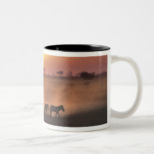 Caneca De Café Em Dois Tons África, Quênia, Amboseli NP. Zebras caminham até a
