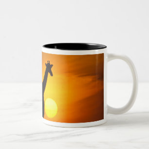Caneca De Café Em Dois Tons África, Quênia, Masai Mara. Girafa (Giraffa