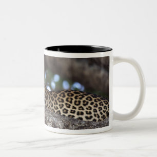 Caneca De Café Em Dois Tons África. Quênia. Masai Mara. Leopardo (Panthera)
