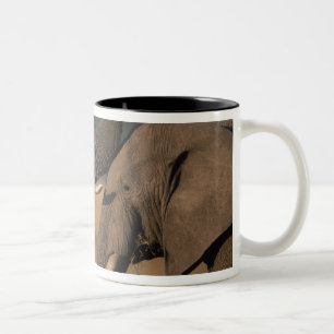 Caneca De Café Em Dois Tons África, Quênia, Reserva de Caça Masai Mara, Dois T