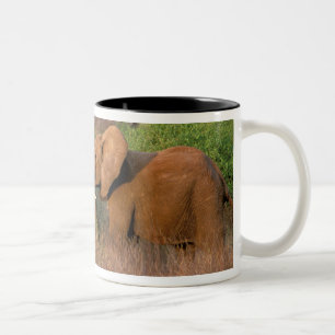 Caneca De Café Em Dois Tons África, Quênia, Samburu. Desafio de elefante