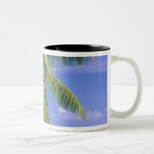 Caneca De Café Em Dois Tons África, Seychelles, Ilha La Digue. Granito 2