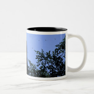 Caneca De Café Em Dois Tons África, Tanzânia, Glitter alcança voando