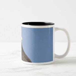 Caneca De Café Em Dois Tons Águia Americana, Haliaeetus leucocephalus, Homer,