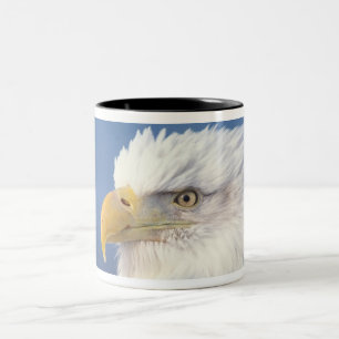 Caneca De Café Em Dois Tons águia-careca, Haliaeetus leuccocephalus,