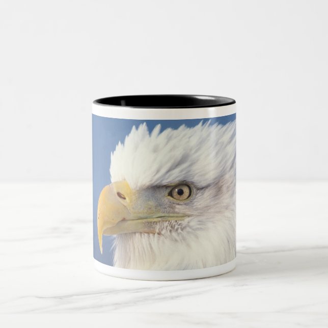 Caneca De Café Em Dois Tons águia-careca, Haliaeetus leuccocephalus, (Centro)