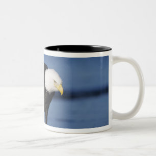 Caneca De Café Em Dois Tons Águia-pescadora