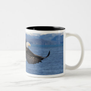 Caneca De Café Em Dois Tons águia-pescadora, Haliaeetus leuccocephalus, em voo