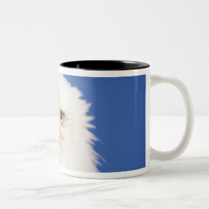 Caneca De Café Em Dois Tons águia-pescadora, Haliaeetus leucocephalus, foto da