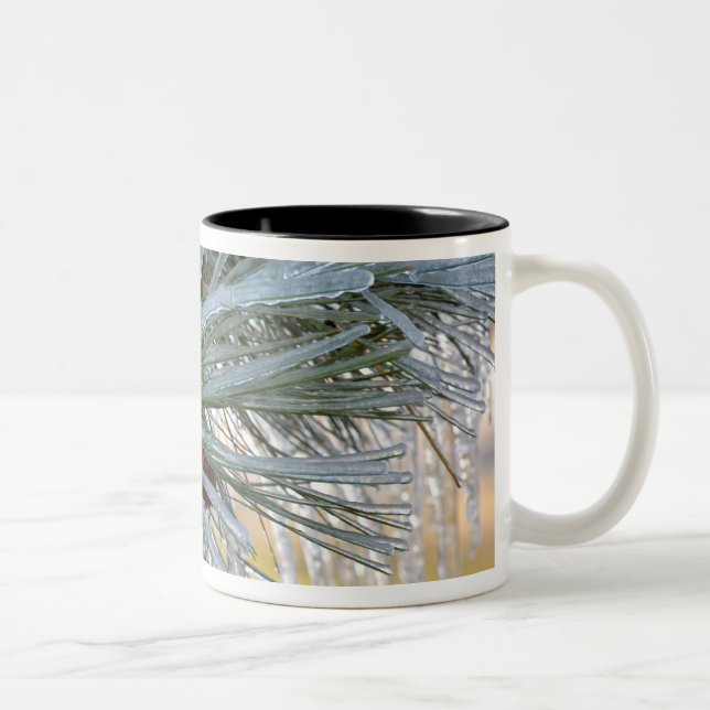 Caneca De Café Em Dois Tons Agulhas de pinheiro ponderosa são (Direita)