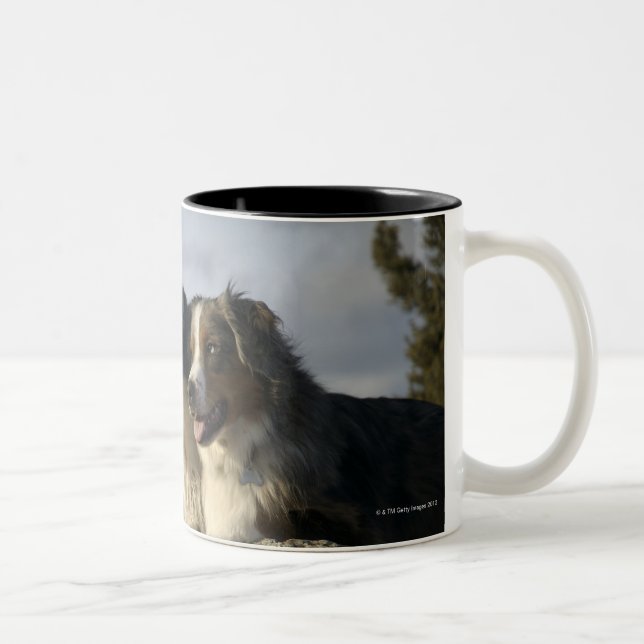 Caneca De Café Em Dois Tons Alberta, Canadá 2 (Direita)