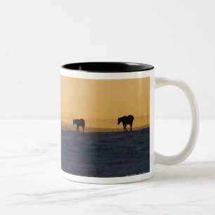 Caneca De Café Em Dois Tons Alberta, Canadá 3