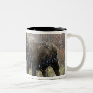 Caneca De Café Em Dois Tons Alce macho em tempestade de neve com árvores de ál