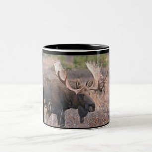 Caneca De Café Em Dois Tons Alces de Bull
