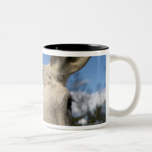 Caneca De Café Em Dois Tons Alces em um campo, Sweden.