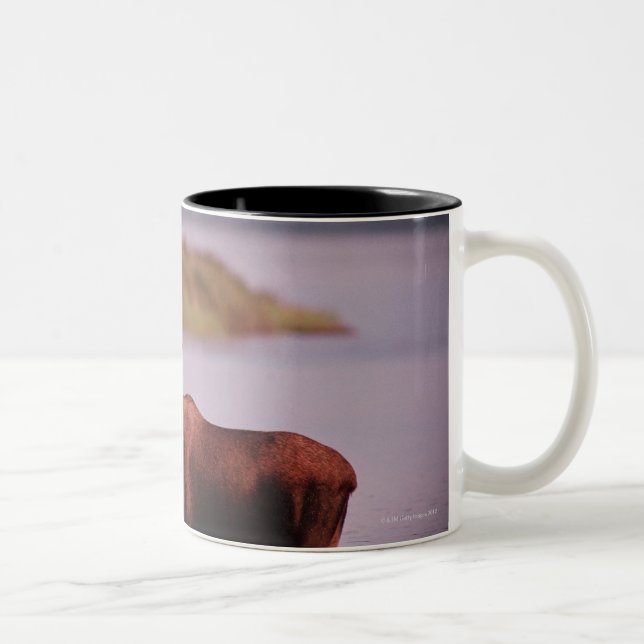 Caneca De Café Em Dois Tons Alces no lago (Direita)