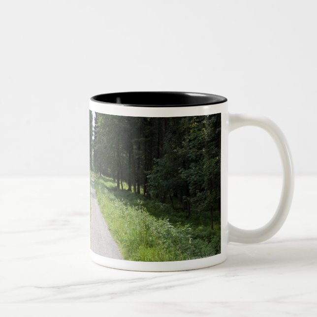 Caneca De Café Em Dois Tons Alemanha, Thuringia, trajeto na floresta (Direita)