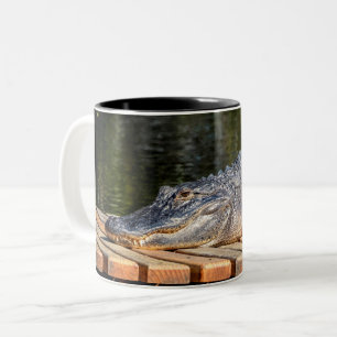 Caneca De Café Em Dois Tons Alligator no Parque Estadual da Vida Selvagem de H