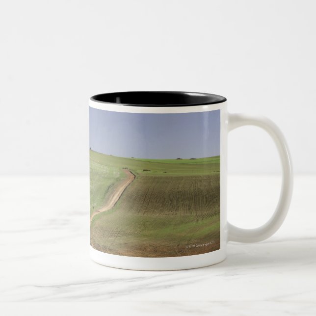 Caneca De Café Em Dois Tons Aloés de florescência perto de Caledon, cabo (Direita)