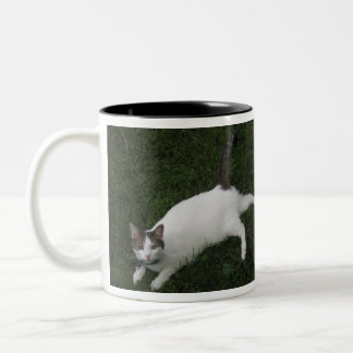 Caneca De Café Em Dois Tons Alvin, A Coffee Mug