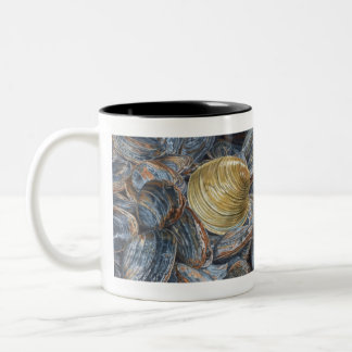 Caneca De Café Em Dois Tons Amêijoas e Concha de Quahog